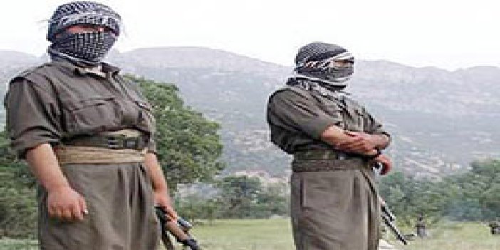 Teslim olan PKK'lıdan şok itiraflar!