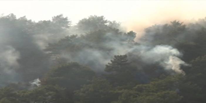 Kumluca ilçesinde orman yangını. 28 Haziran 2014