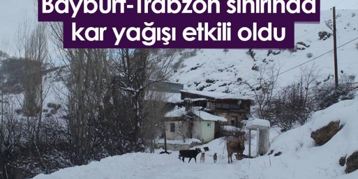 Bayburt-Trabzon sınırında kar yağışı etkili oldu