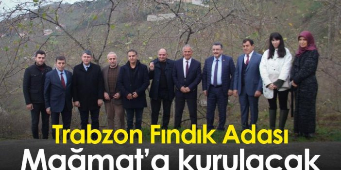 Trabzon Fındık Adası, Mağmat’a kurulacak