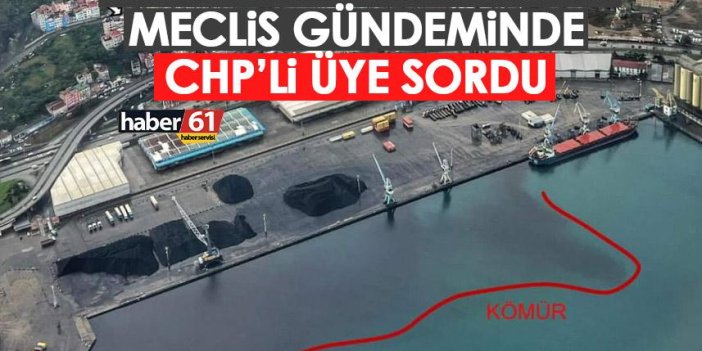 Trabzon Limanı’nda denizdeki kömür kirliliği meclis gündeminde!