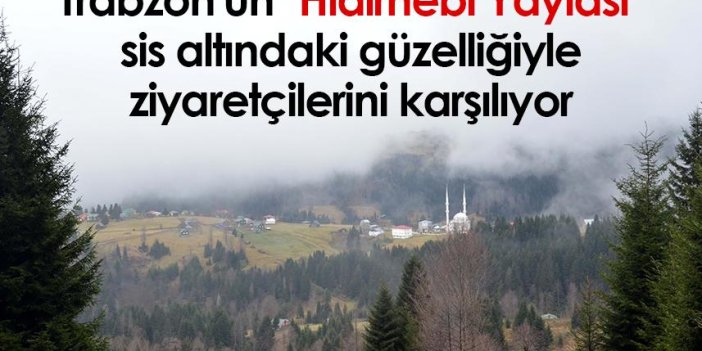 Trabzon'un "Hıdırnebi Yaylası" sis altındaki güzelliğiyle ziyaretçilerini karşılıyor