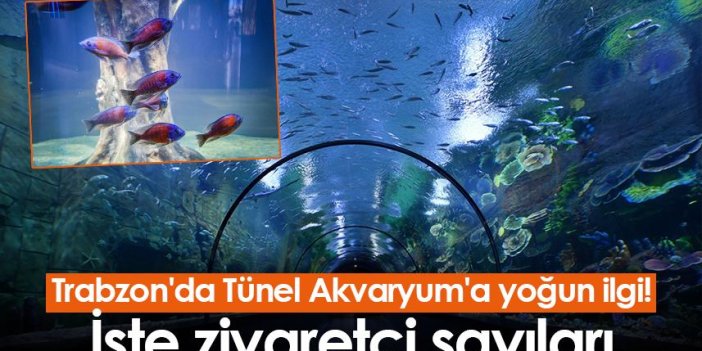 Trabzon'da Tünel Akvaryum'a yoğun ilgi! İşte ziyaretçi sayıları