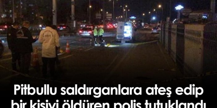 İstanbul'da Pitbullu saldırganlara ateş edip bir kişiyi öldüren polis tutuklandı