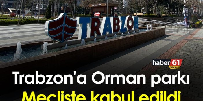 Trabzon'a Orman parkı yapılıyor