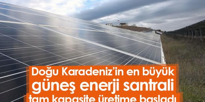 Doğu Karadeniz’in en büyük güneş enerji santrali tam kapasite üretime başladı