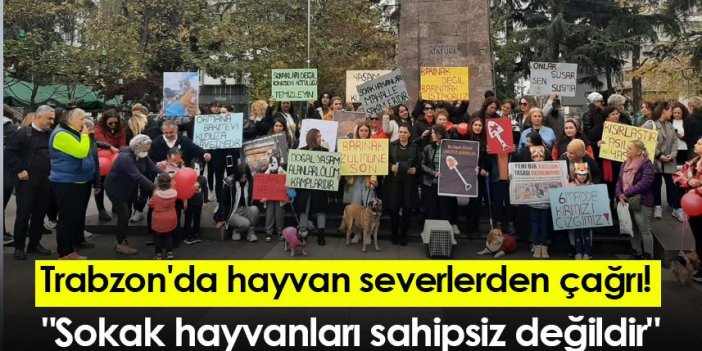 Trabzon'da hayvan severlerden çağrı! "Sokak hayvanları sahipsiz değildir"