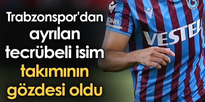 Trabzonspor'dan ayrılan tecrübeli isim takımının gözdesi oldu