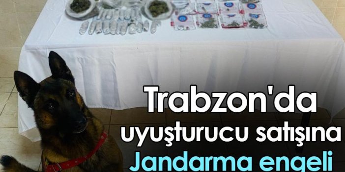 Trabzon'da uyuşturucu satışına Jandarma engeli