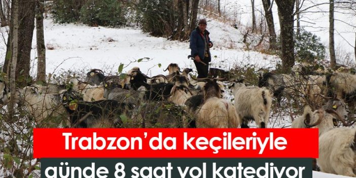 Trabzon'da keçileriyle  günde 8 saat yol katediyor