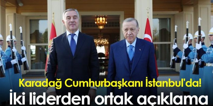 Karadağ Cumhurbaşkanı İstanbul'da! İki liderden ortak açıklama