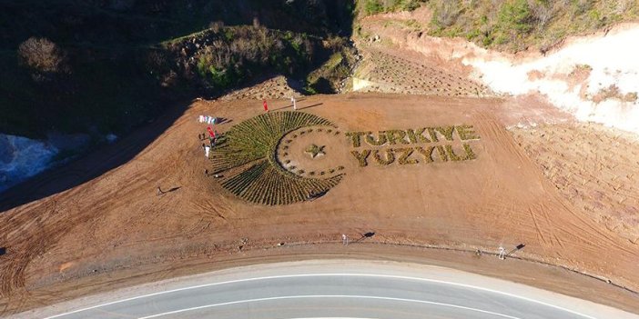 Artvin’de 36 bin fidanla “Türkiye Yüzyılı” logosu işlendi