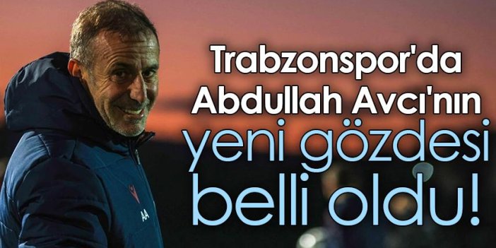 Trabzonspor'da Abdullah Avcı'nın yeni gözdesi belli oldu!