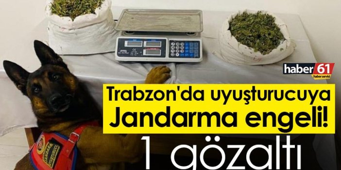 Trabzon'da uyuşturucuya Jandarma engeli! 1 gözaltı
