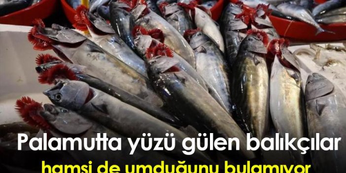 Palamutta yüzü gülen balıkçılar, hamsi de umduğunu bulamıyor