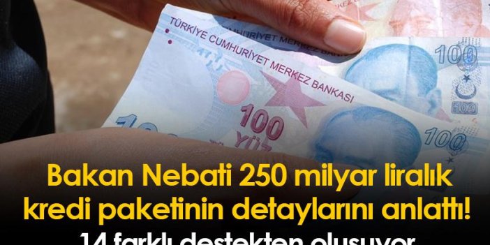 Bakan Nebati 250 milyar liralık kredi paketinin detaylarını anlattı! 14 farklı destekten oluşuyor