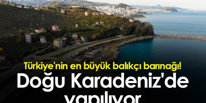 Türkiye'nin en büyük balıkçı barınağı! Doğu Karadeniz'de yapılıyor