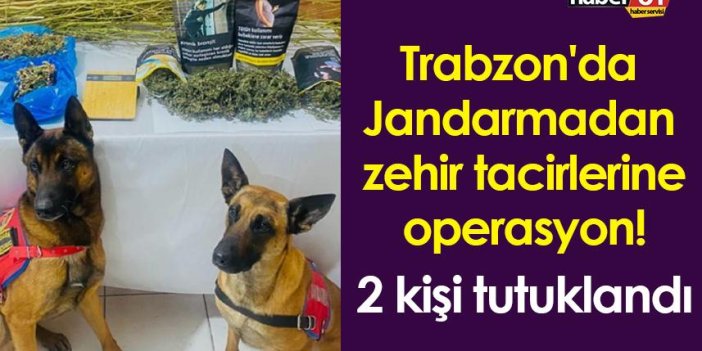 Trabzon'da Jandarmadan zehir tacirlerine operasyon! 2 kişi tutuklandı