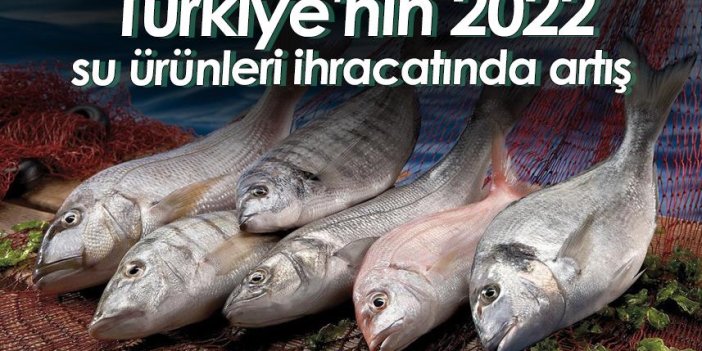Türkiye'nin 2022 su ürünleri ihracatında artış