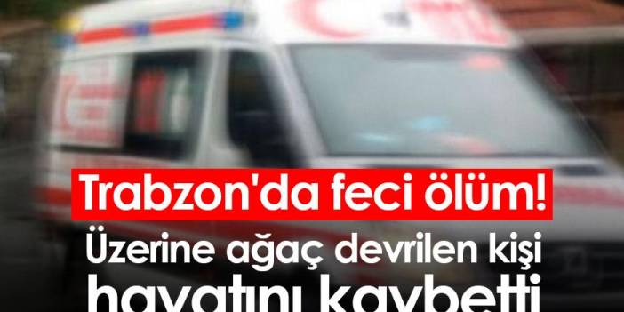 Trabzon'da üzerine ağaç devrilen kişi hayatını kaybetti.