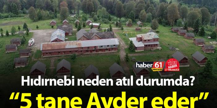 Trabzon'da Hıdırnebi neden atıl durumda? “5 tane Ayder eder”
