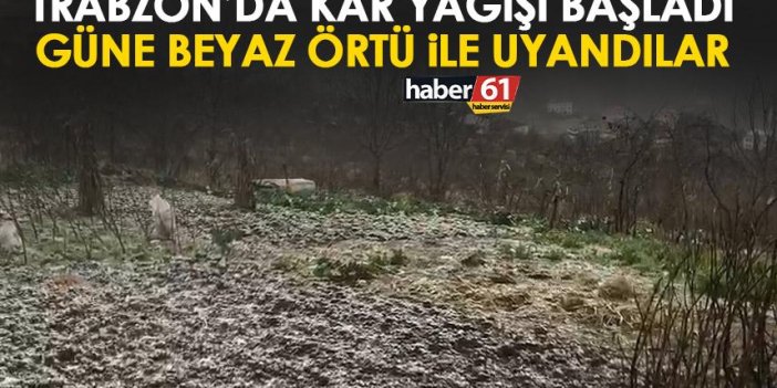 Trabzon'da kar yağışı başladı! Güne beyaz örtü ile uyandılar