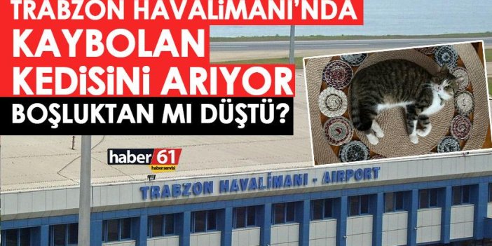 Trabzon Havalimanı’nda kaybolan kedisini arıyor! Bulana ödül verecek