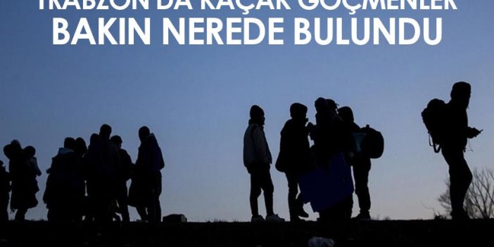 Trabzon'da kaçak göçmenler bakın nerede bulundu