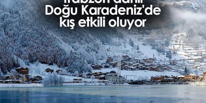 Trabzon dahil Doğu Karadeniz'de kış etkili oluyor