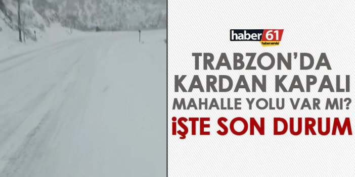 Kar Trabzon’un yüksek kesimlerini vurdu! İşte kapalı olan yol sayısı