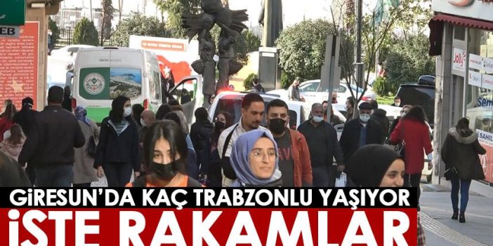 Giresun'da kaç Trabzonlu yaşıyor? Nüfus giderek artıyor
