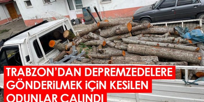 Trabzon'dan depremzedelere gönderilmek için kesilen odunları çaldılar