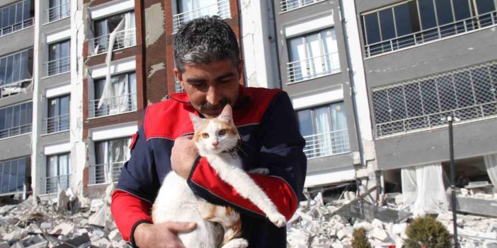 Malatya’da ağır hasarlı binada mahsur kalan kedi kurtarıldı