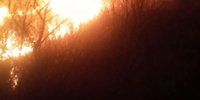 Gala Gölü Milli Parkı sazlık alanında çıkan yangın söndürüldü
