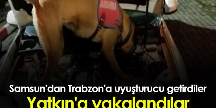 Samsun'dan Trabzon'a uyuşturucu getirdiler, Yatkın'a yakalandılar