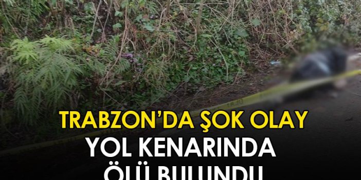 Trabzon'da yol kenarında ölü bulundu