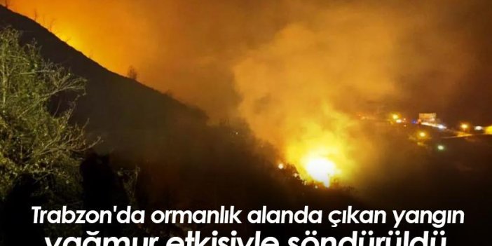Trabzon'da ormanlık alanda çıkan yangın yağmur etkisiyle söndürüldü
