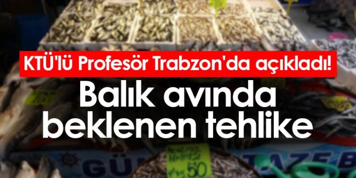 KTÜ'lü Profesör Trabzon'da açıkladı! Balık avında beklenen tehlike