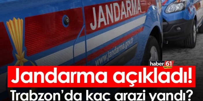 Jandarma açıkladı! Trabzon’da kaç arazi yandı?