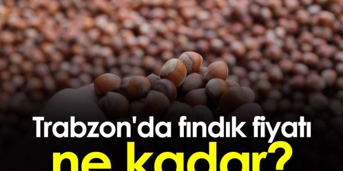 Trabzon'da fındık fiyatı ne kadar? Fındık fiyatları