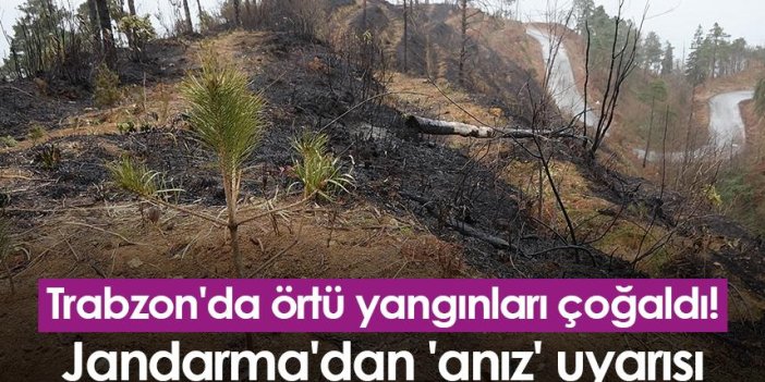 Trabzon'da örtü yangınları çoğaldı! Jandarma'dan 'anız' uyarısı