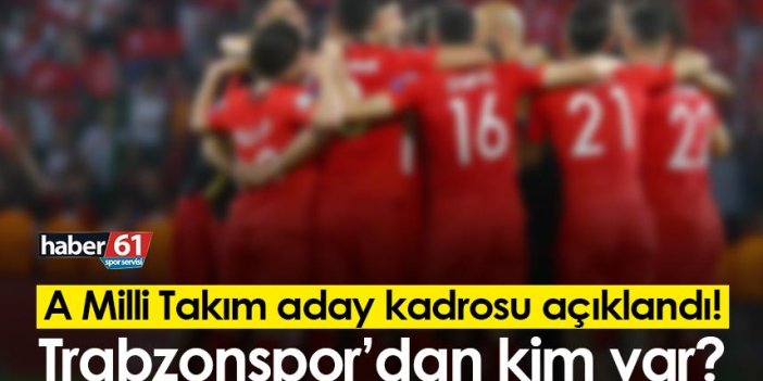 A Milli Takım aday kadrosu açıklandı! Trabzonspor’dan kim var?