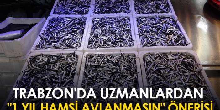 Trabzon'da uzmanlardan "1 yıl hamsi avlanmasın" önerisi