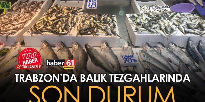 Trabzon'da balık tezgahlarında son durum