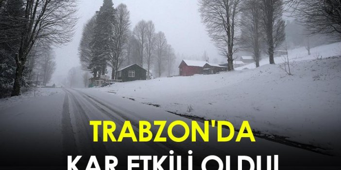 Trabzon'da kar etkili oldu!