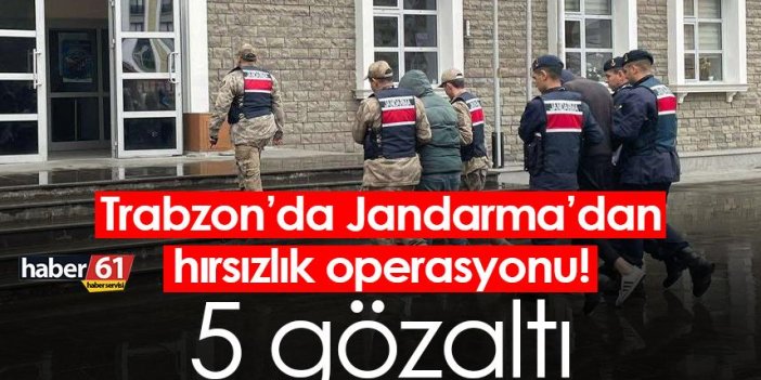 Trabzon’da Jandarma’dan hırsızlık operasyonu! 5 gözaltı