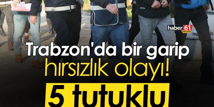Trabzon'da bir garip hırsızlık olayı! 5 tutuklu