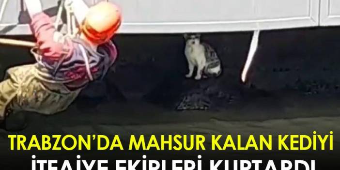Trabzon'da mahsur kalan kediyi itfaiye ekipleri kurtardı