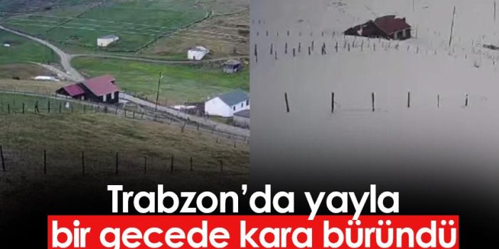 Trabzon’da yayla bir gecede kara büründü