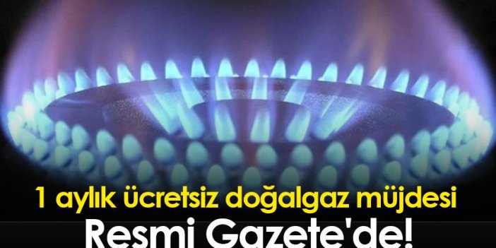 1 aylık ücretsiz doğalgaz müjdesi Resmi Gazete'de!